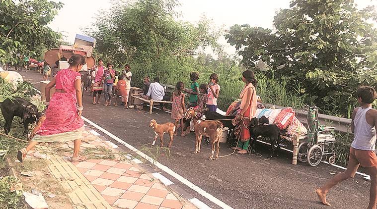 Delhi: Families displaced by rising river say not enough tents, toilets