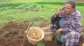 Meghalaya 1917 iTeams, Meghalaya farmer helpline