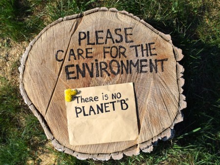 deforestation, save trees