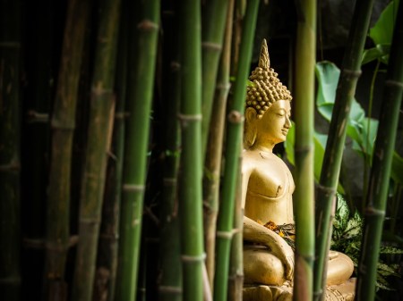 gautama buddha, nirvana, buddhism