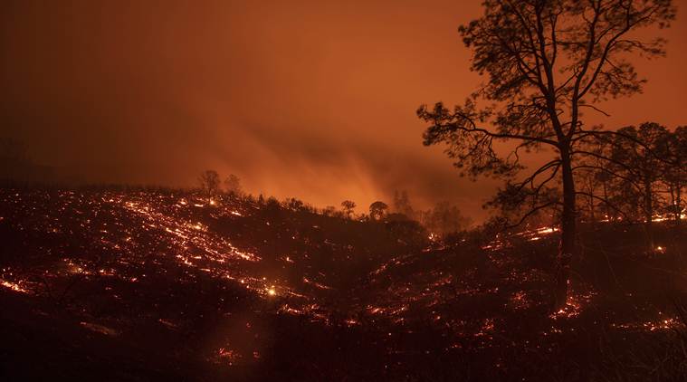 world-news-wrap-biggest-wildfire-ever-recorded-in-california-history