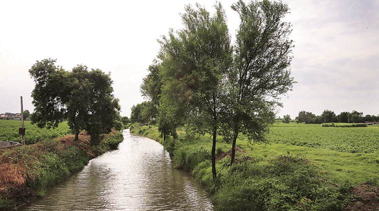 southwest monsoon, el nino, indian monsoon, election 2019, lok sabha elections, Modi govt, indian farmers, crop produce, indian express