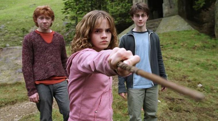 Portrait of Hermione Granger — Harry Potter Fan Zone