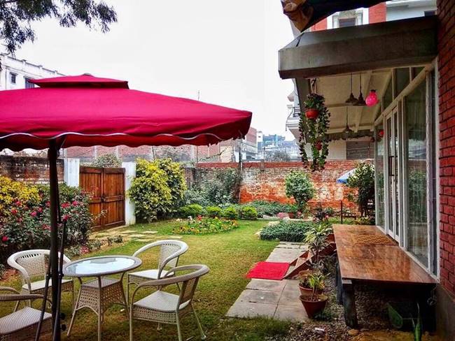 Backpackers hostels, hostels for backpackers, Backpackers hostels Bunkyard, Backpacker Panda