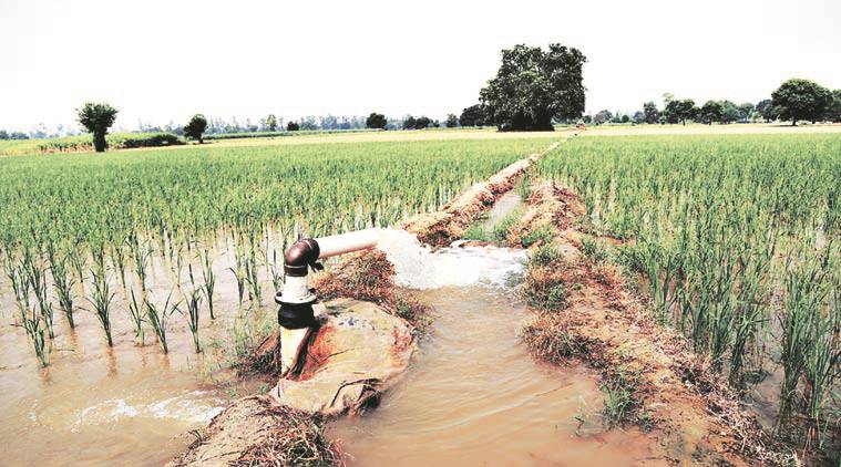 Mumbai, Mumbai news, Maharashtra irrigated land, Maharashtra farming, farming Maharashtra, Devendra Fadnavis, BJP Maharashtra, Maharashtra farming land, Maharashtra irrigation, indian express