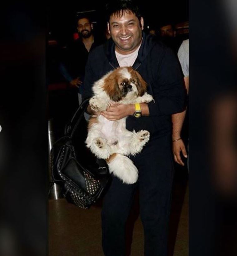 kapil sharma comes back on tv