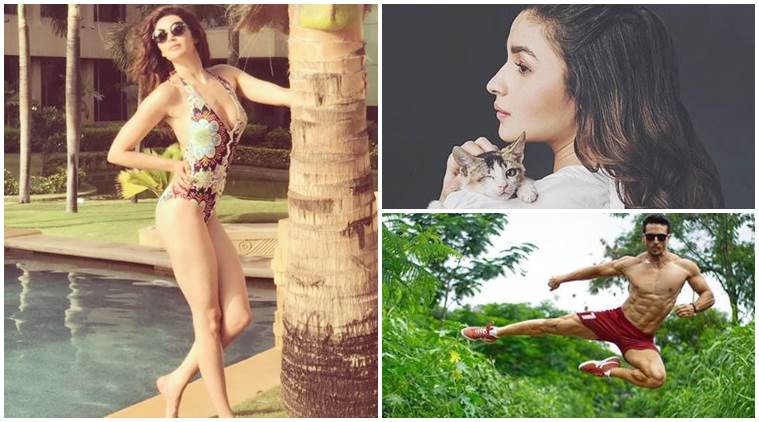 Karishma Tanna Sex - Have you seen these photos of Karishma Tanna, Alia Bhatt and Tiger Shroff?  | Entertainment News,The Indian Express