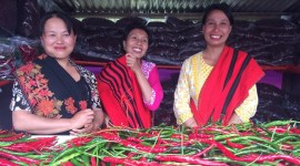 Manipur: Demand for unique chilli found only in Ukhrul village soars