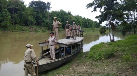 Manipur govt constitutes committees to monitor influx of immigrants post-NRC draft