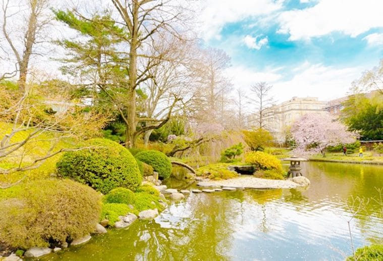 Brooklyn Botanic Garden, New York, Claude Monet Foundation, Giverny, France, Rio de Janeiro Botanical Garden, Rio de Janeiro, Royal Botanic Gardens, London, Tropical Botanical Garden, Portugal, Sydney Botanical Garden, Tokyo Botanical Garden, indian express, indian express news