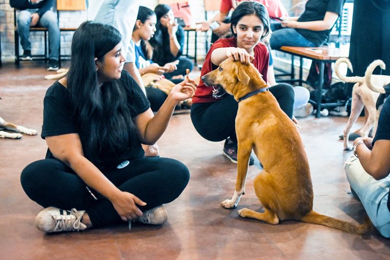 Friendship Day 2018, Happy Friendship Day, where to celebrate Friendship Day, how to celebrate Friendship Day, Friendship Day events, Friendship Day events in india, Friendship Day events delhi, Friendship Day events bangalore, Friendship Day mumbai, Friendship Day kolkata , indian express, indian express news