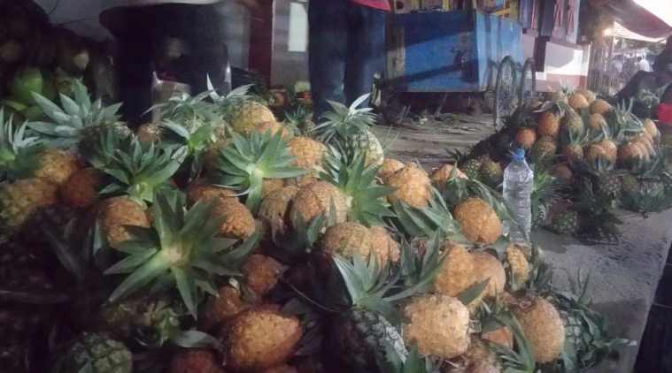 Tripura Queen Pineapple