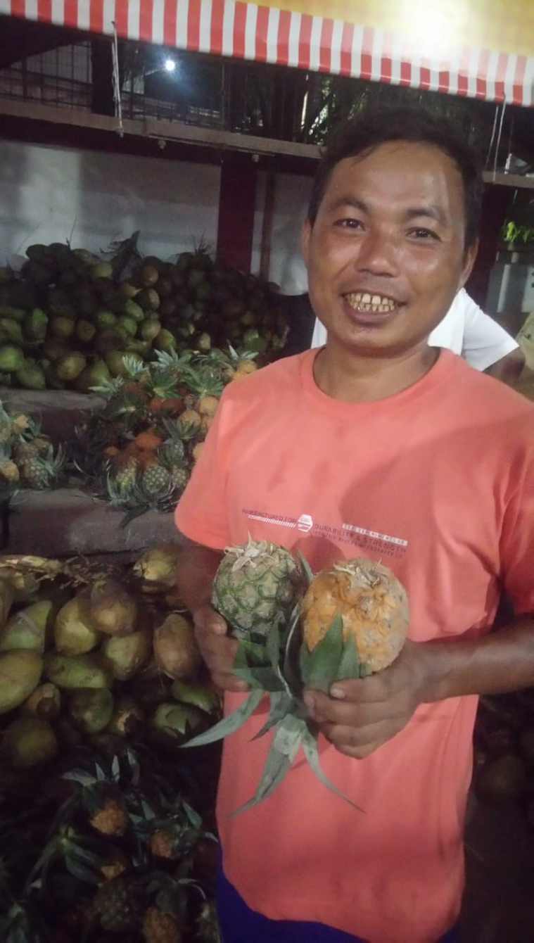 Tripura Queen Pineapple
