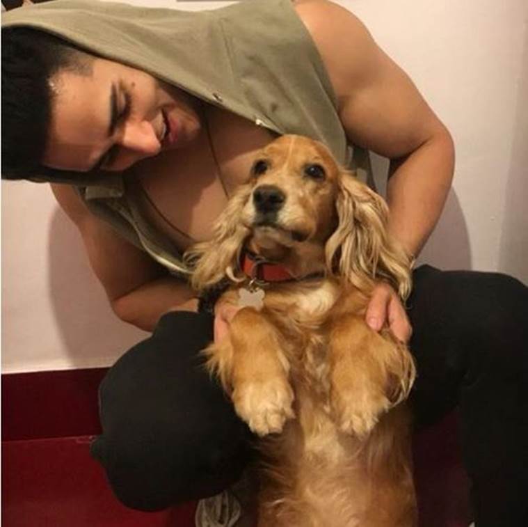 Priyank Sharma photos