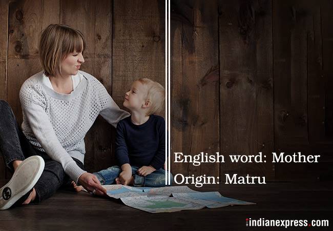 Sanksrit words, english words from sanskrit, words derived from sanskrit, sanskrit fun fact, sunskrit trivia, indian express, indian express news