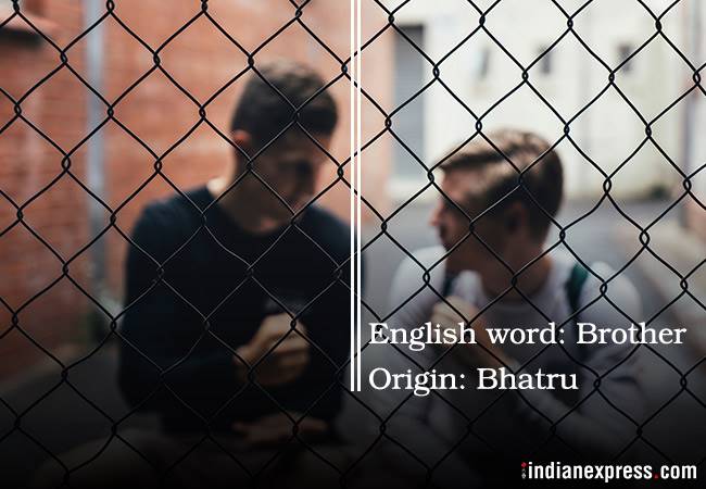Sanksrit words, english words from sanskrit, words derived from sanskrit, sanskrit fun fact, sunskrit trivia, indian express, indian express news