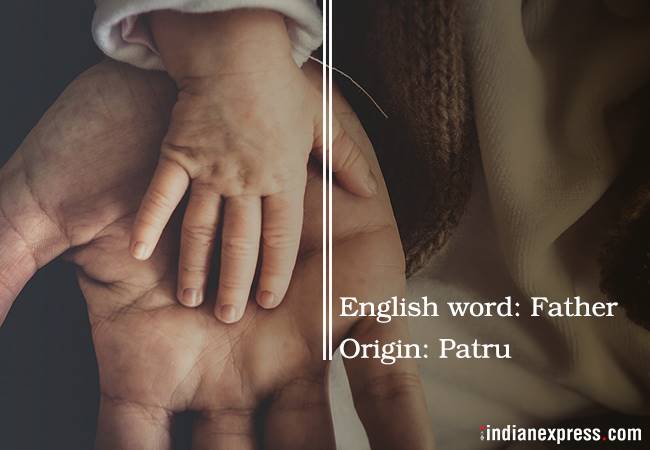 Sanksrit words, english words from sanskrit, words derived from sanskrit, sanskrit fun fact, sunskrit trivia, indian express, indian express news