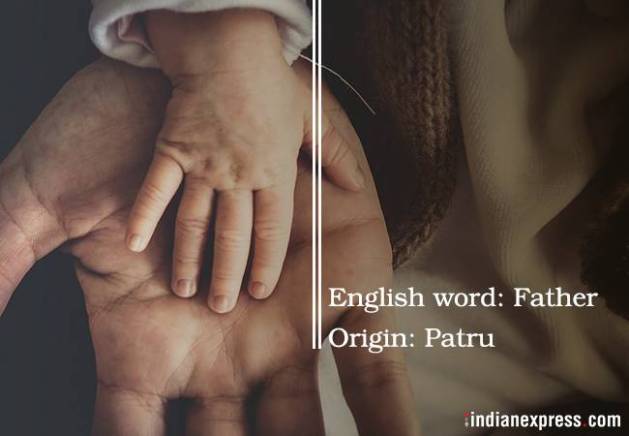 Sanksrit words, english words from sanskrit, words derived from sanskrit, sanskrit fun fact, sunskrit trivia, indian express, indian express news