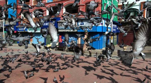 SC defers hearing on Article 35A to January 2019, shutdown in Kashmir