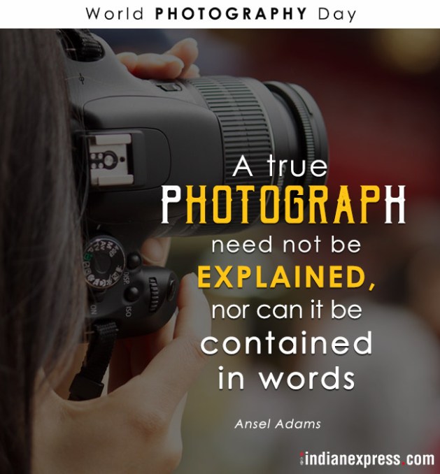 World Photography Day Quotes by photographers on photography