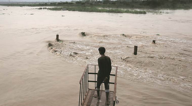 Haryana on alert as water level increases in Yamuna