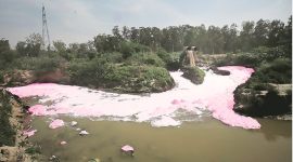 Sand mining mafia, Yamuna sand mining, NSA, National Security Act, Noida, India news