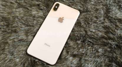 https://images.indianexpress.com/2018/09/apple-iphone-xs-max-7-back2.jpg?w=414