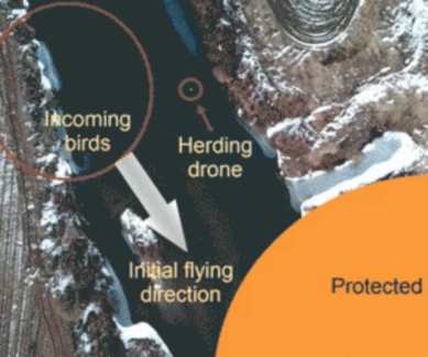 Robotic drones, unmanned aerial vehicles, Imperial College London, drones controlling airspace, California Institute of Technology, herding algorithm, Korea Advanced Institute of Science and Technology, flocking models, avaition industry birdhits