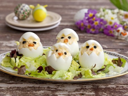 egg protein, kids and eggs