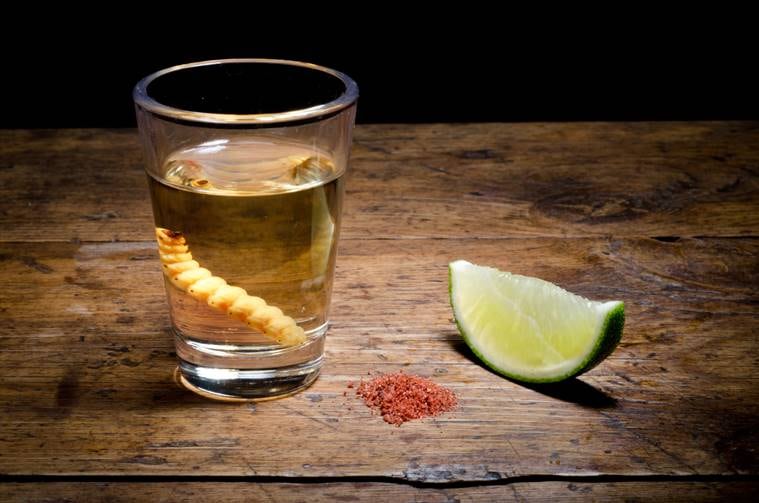 insects food, worm food, insect diet, insect protein source, eating insects, eating worms, indian express, indian express news