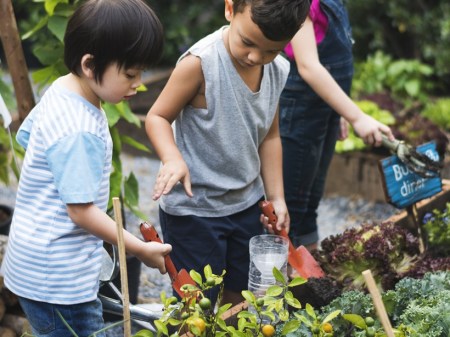 kids gardening