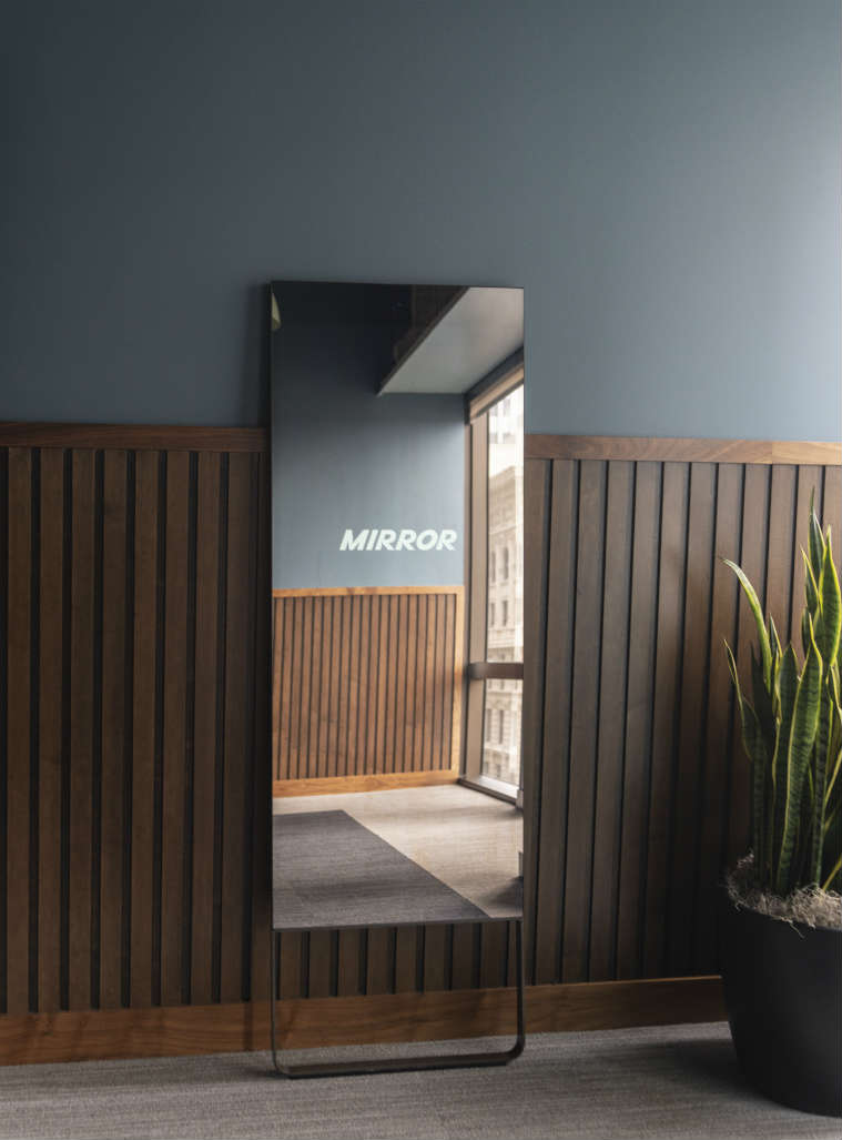 home fitness, home fitness machines, wall weightlifting machine, Tonal, Silicon Valley, The Mirror