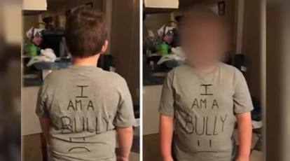 I Am A Bully T-Shirt Texas Mom Anti-Bullying Lesson Shirt