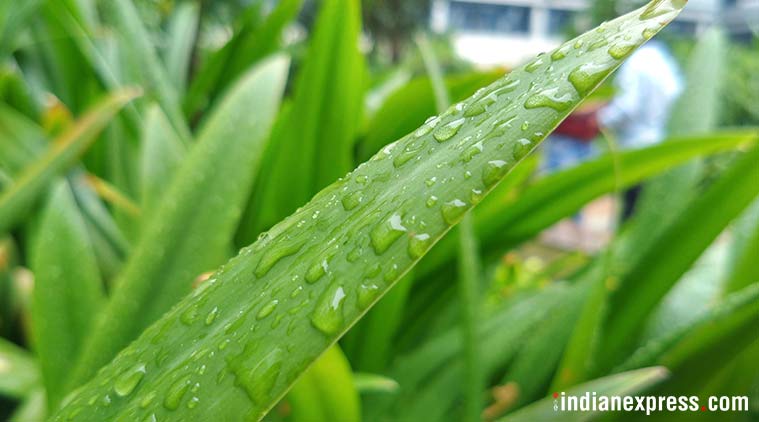 motorola one power, motorola one power review, motorola one power price in india, motorola one power features, motorola one power specifications, motorola one power battery, motorola one power display, motorola one power flipkart, motorola one power price, motorola one power flipkart sale, motorola one power availability, motorola one power technology review, android one, motorola, lenovo