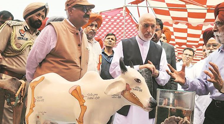Punjab: Former Afghanistan president Hamid Karzai inaugurates farmer and animal fair