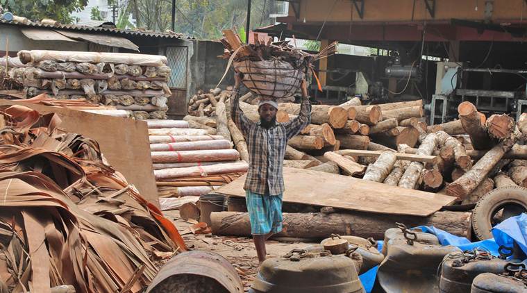 How floods broke the backbone of plywood factories, rice mills in ...