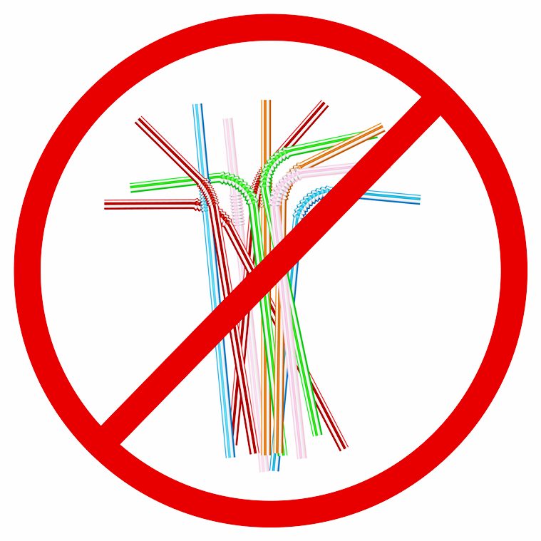 plastic, plastic pollution, get rid of plastic, reduce plastic use, plastic reduction, ways to free yourself from plastic, indian express, indian express news