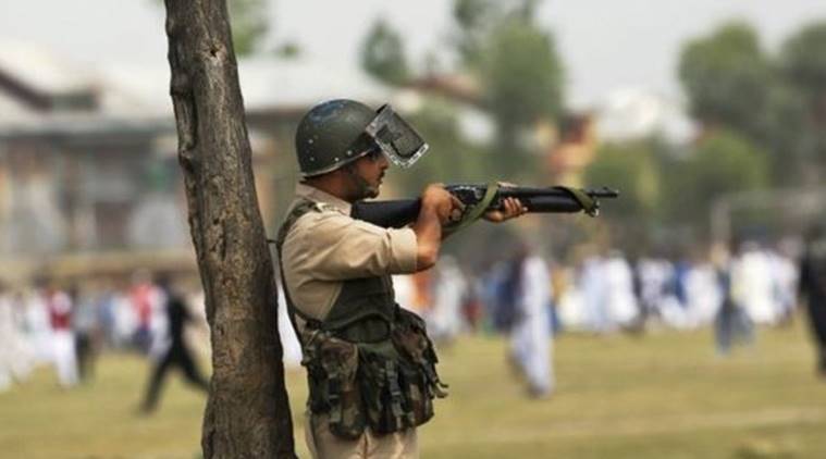 West Bengal: BSF steps up vigil after jawan injured in smugglers’ attack; 150 bovines seized 