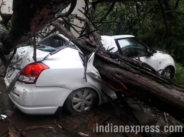 Kullu district put on 'high alert' as heavy rains batter Himachal, Punjab, Haryana