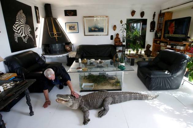 Scaly, scary lodgers: Frenchman shares home with 400 reptiles
