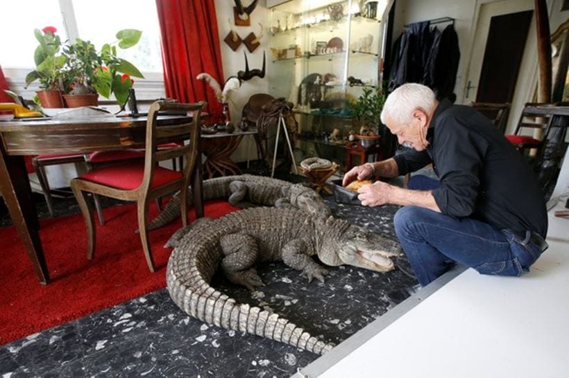 Scaly, scary lodgers: Frenchman shares home with 400 reptiles