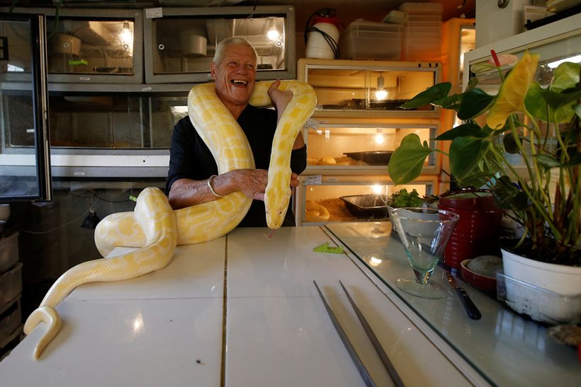 Scaly, scary lodgers: Frenchman shares home with 400 reptiles