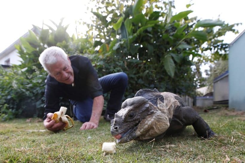 Scaly, scary lodgers: Frenchman shares home with 400 reptiles