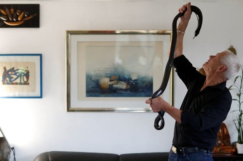 Scaly, scary lodgers: Frenchman shares home with 400 reptiles