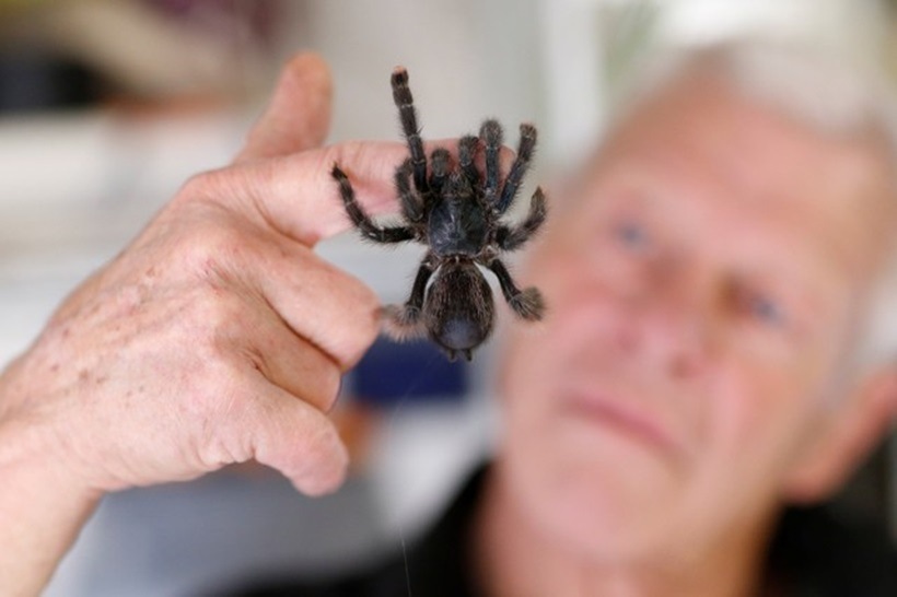 Scaly, scary lodgers: Frenchman shares home with 400 reptiles