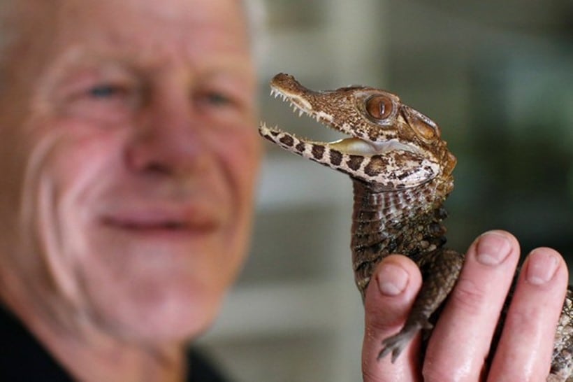 Scaly, scary lodgers: Frenchman shares home with 400 reptiles