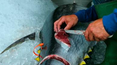 Asia's rising appetite for meat, seafood will 'strain environment'