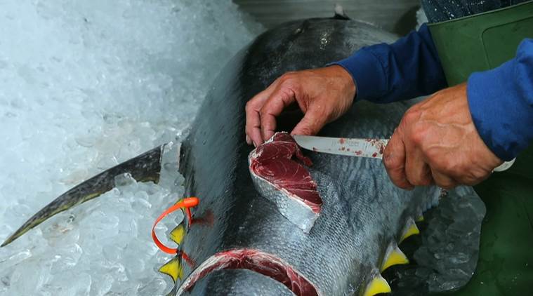 Asia's rising appetite for meat, seafood will 'strain environment'