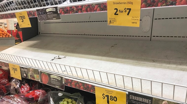 NZ supermarket chain halts Australian strawberry sales as needles found