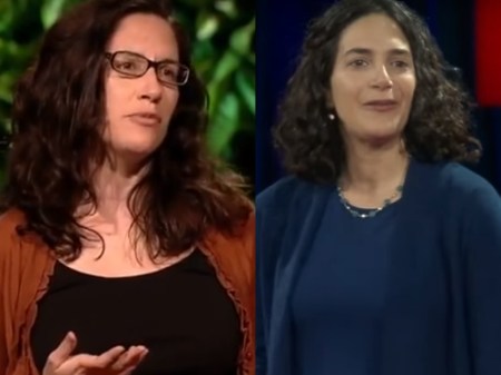 Watch these TED Talk shows  to know how a child's mind functions. (Source:YouTube)